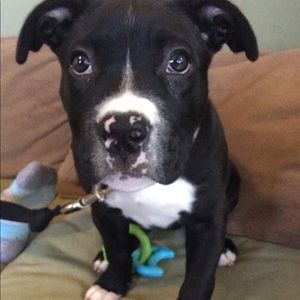 Meet your Posher, Christina